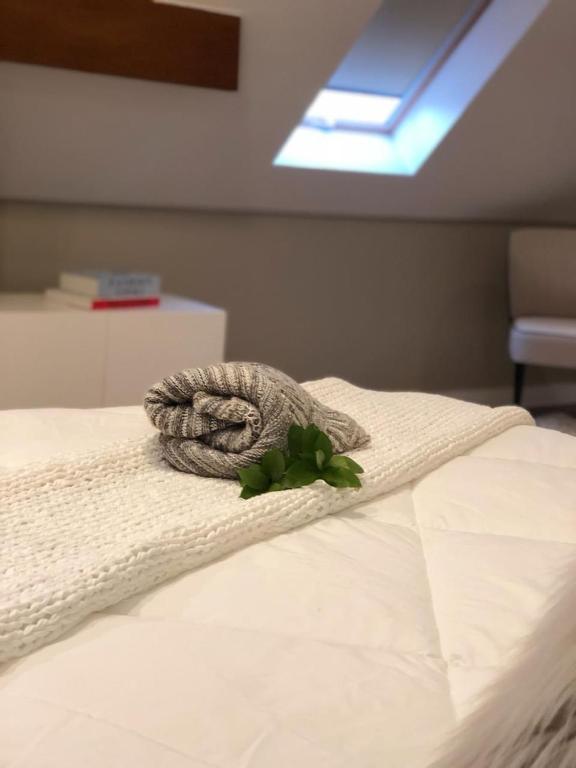 Apartamento de Cobertura Frente ao Lago  Apartamento de Cobertura Frente ao Lago