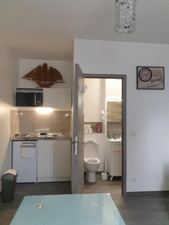 een kleine keuken met een toilet en een wastafel bij studio meublé au RDC , proche lac in Aix-les-Bains