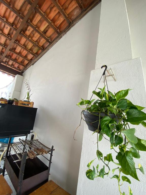  Aconchego da Gabi - Perto do centro da cidade