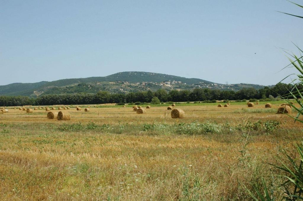 Táj Show country houses közelében