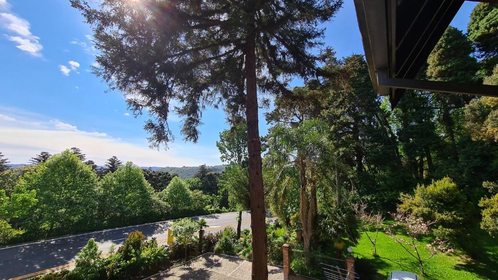 Hotel Azaleia  Hotel Azaleia