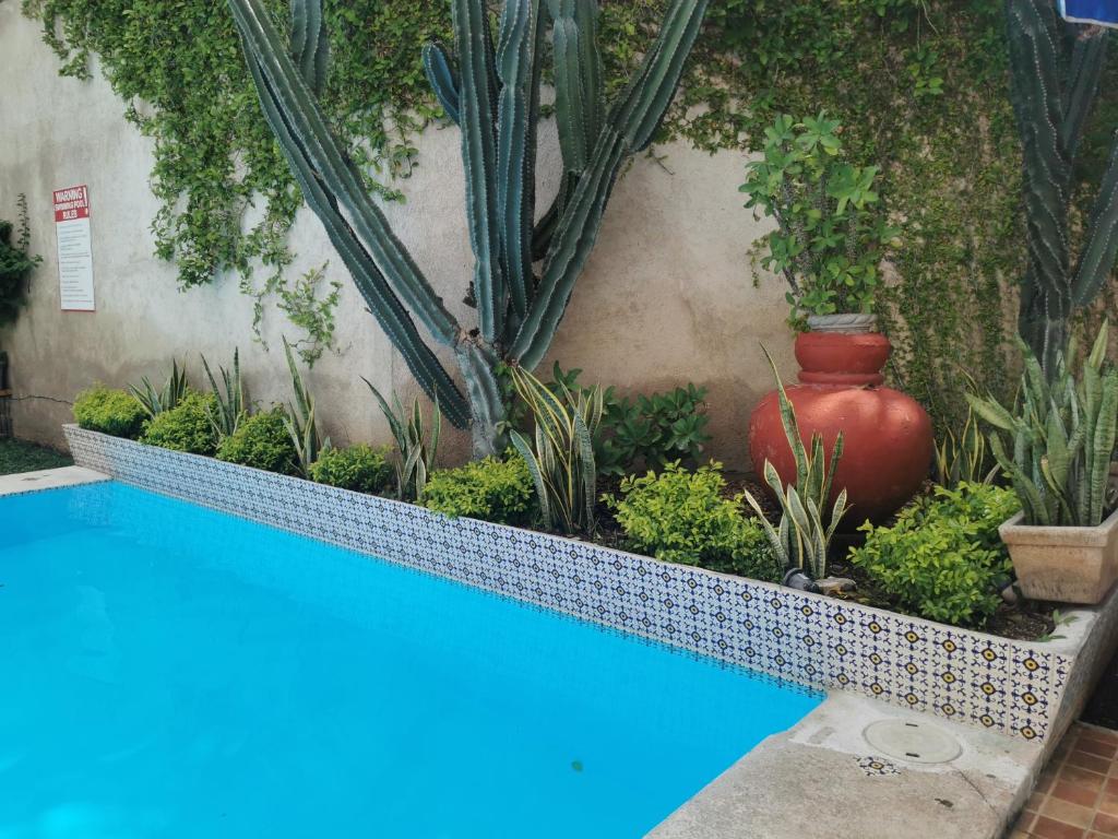 Bazén v ubytování Hotel Las Dalias Inn nebo v jeho okolí