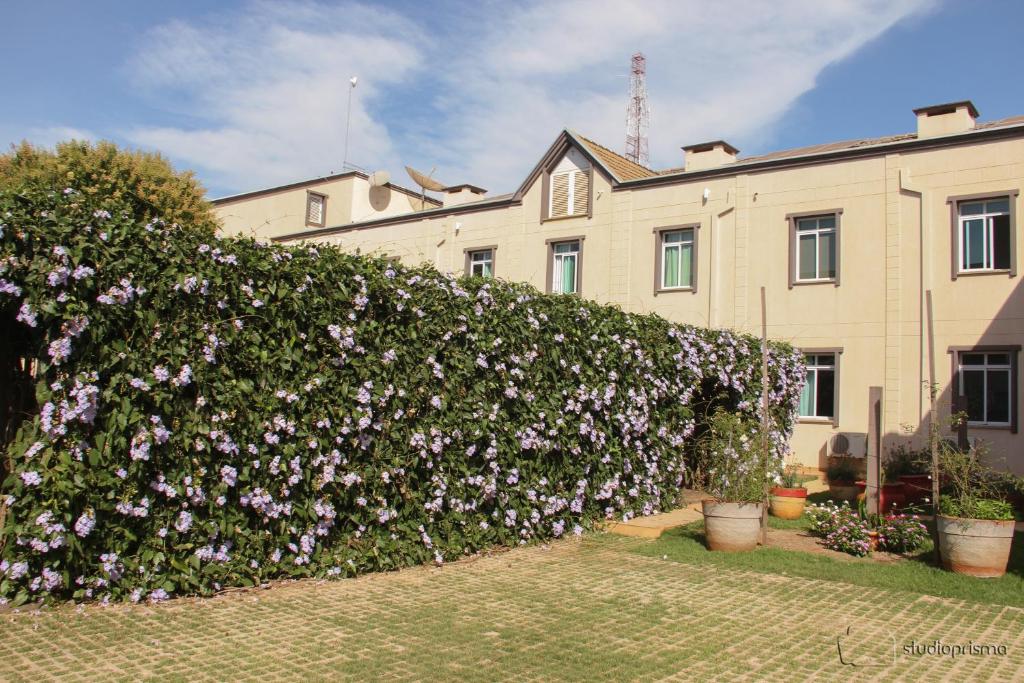 Hotel Zen