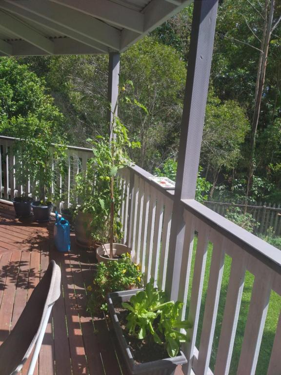 Balcone o terrazza di Near to Everything Yet in a Rainforest setting