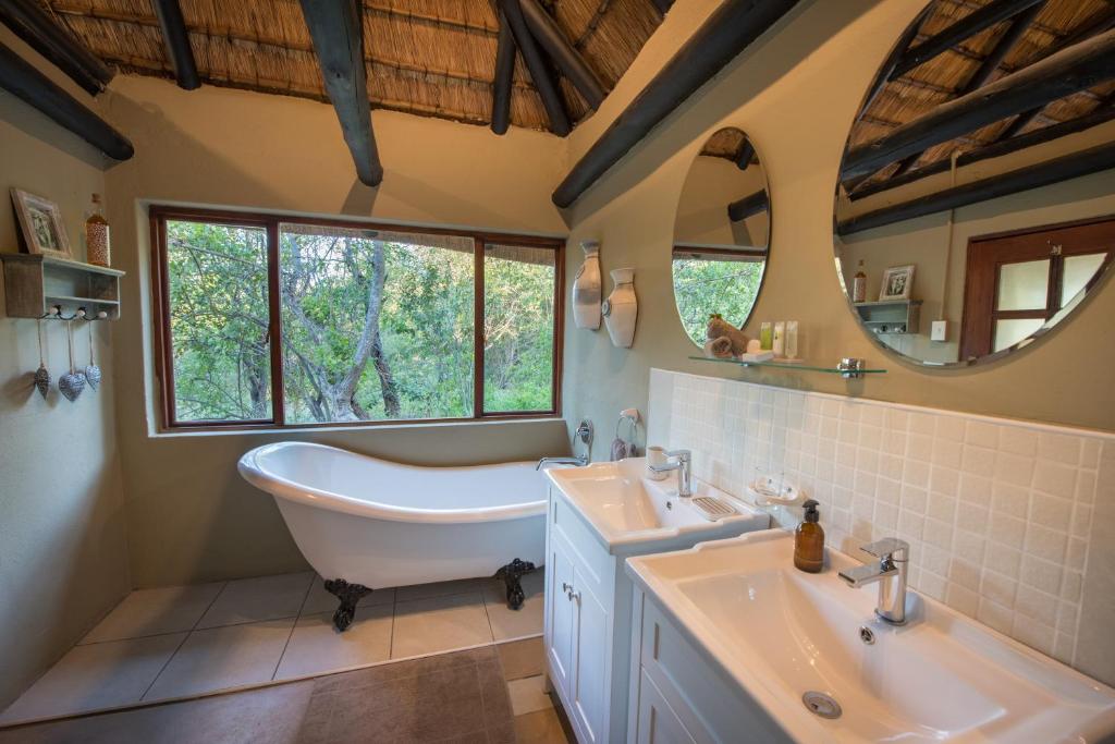 Kambaku Safari Lodge, Timbavati Game Reserve – Aktualisierte Preise für 2024