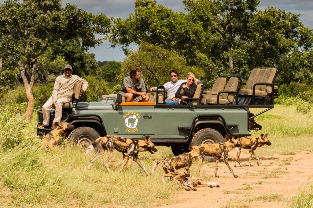 un grupo de personas montando en un jeep en Kambaku Safari Lodge, en Reserva Timbavati