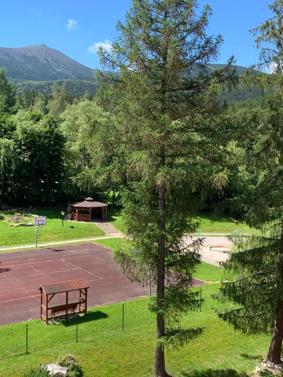 Příroda nedaleko apartmánu
