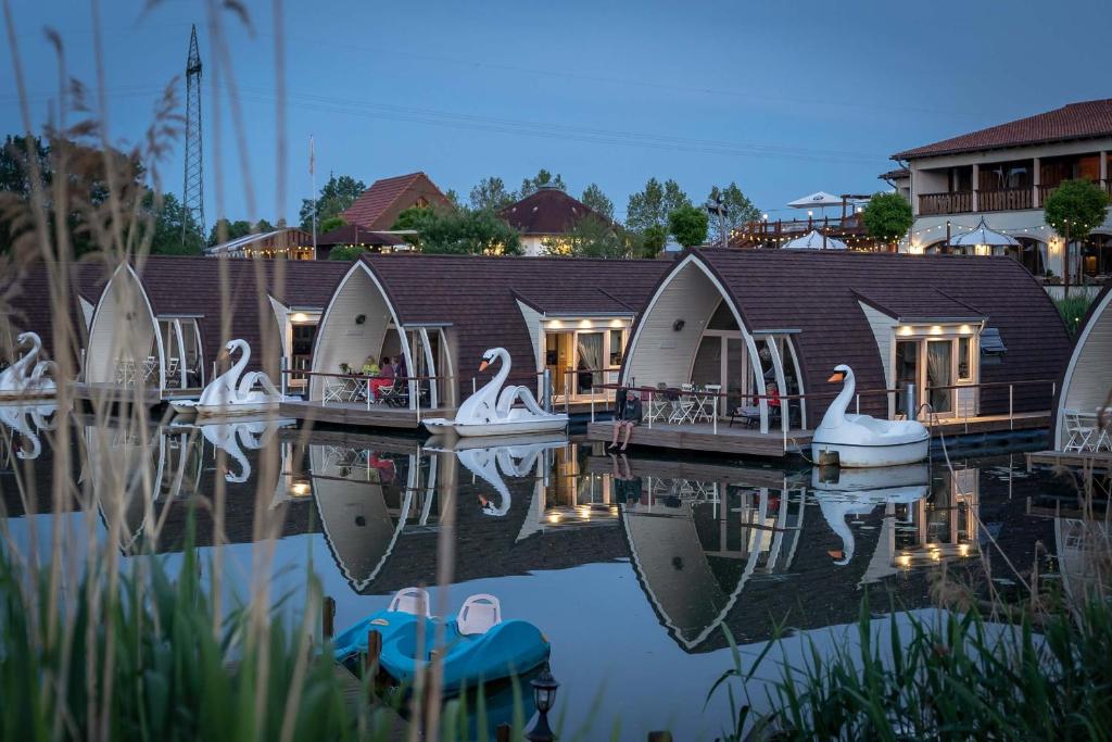 a group of swans are sitting on the water at schwimmendes Seehotel in Parey