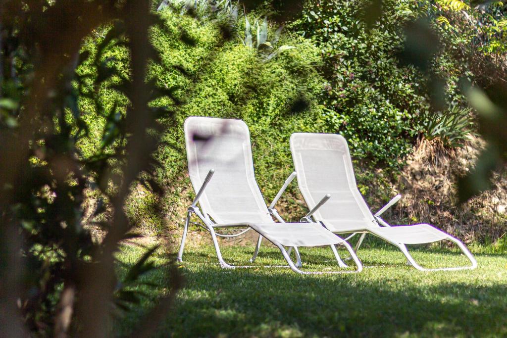 Zahrada ubytování Spacious Apartment with Garden & Air Conditioning - La Grande Finestra