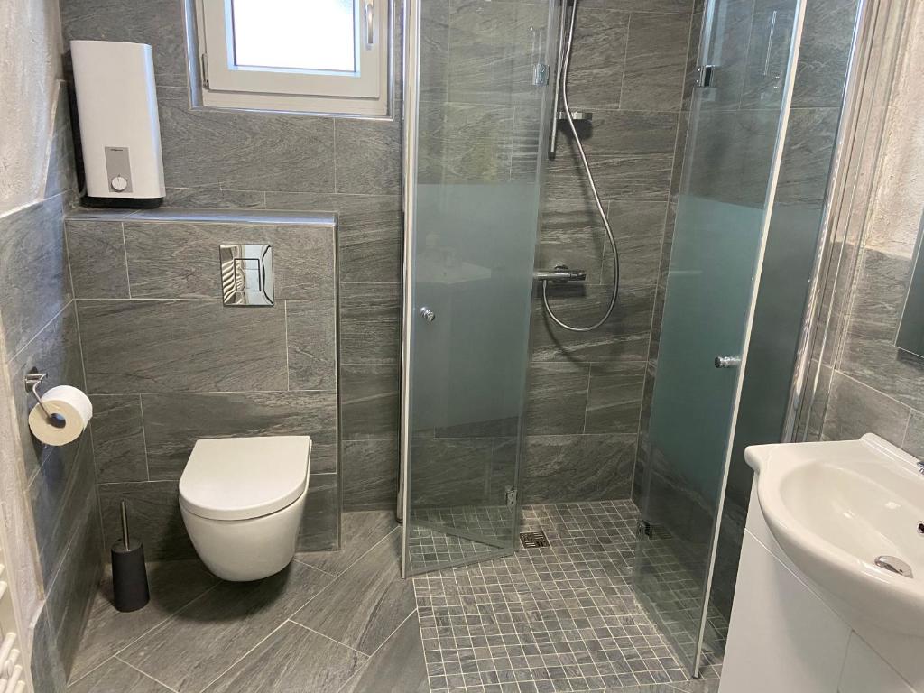 een badkamer met een douche, een toilet en een wastafel bij 1-ZKD mit EBK, modern und barrierefrei, SELF-CHECK-IN in Ittlingen