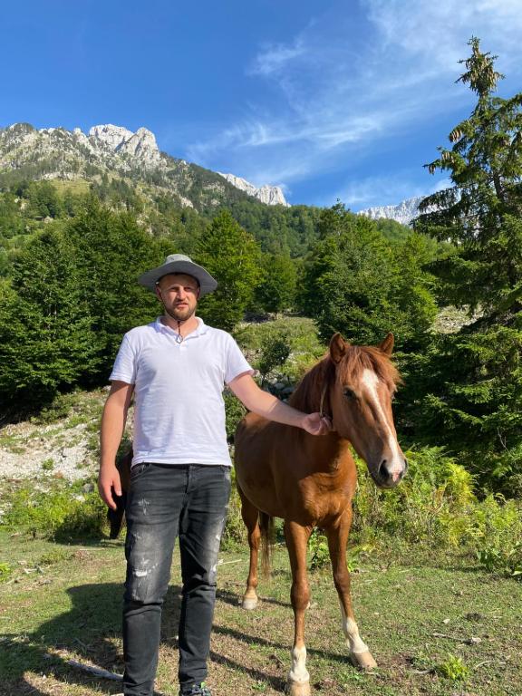 Zvířata v penzionu nebo okolí