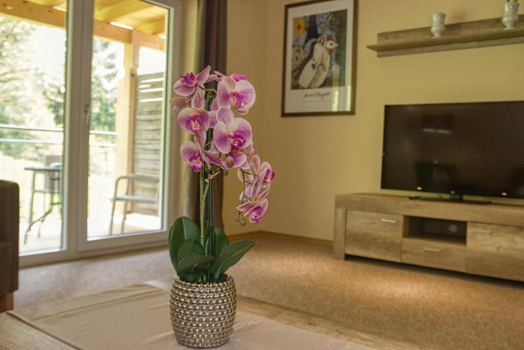 TV a/nebo společenská místnost v ubytování Wellnesshotel deine Auszeit, Adults only