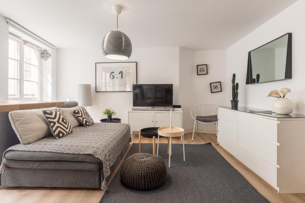 a living room with a couch and a tv at Appartements de la Pléiade in Strasbourg