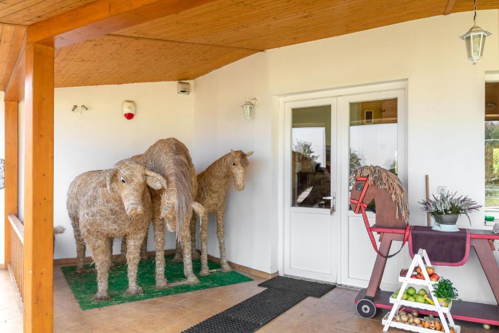 Fotografie z fotogalerie ubytování Farma Slunečný Dvůr apartmány a family stany střecha pod střechou v Heřmanově Městci