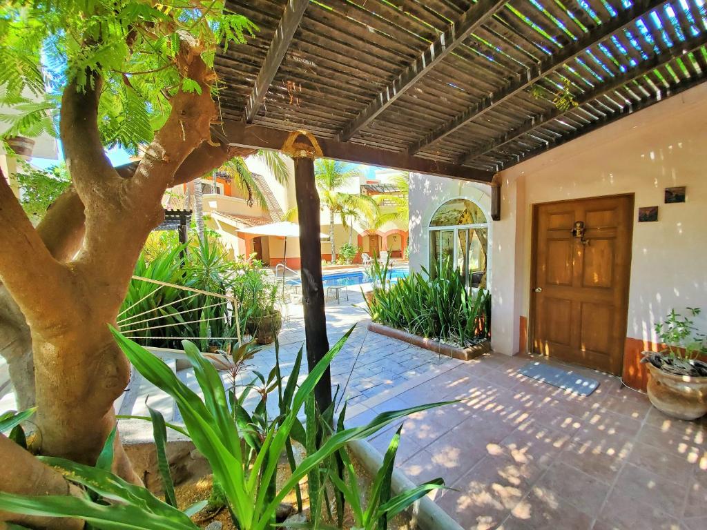 un patio al aire libre con un árbol y un edificio en Coco Cabañas and Casitas Vacation Rentals, en Loreto