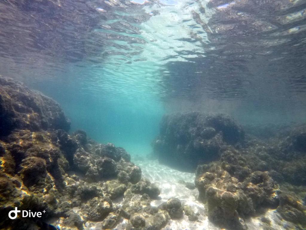  Apto Maravilhoso Tudo a Pé em Porto de Galinhas