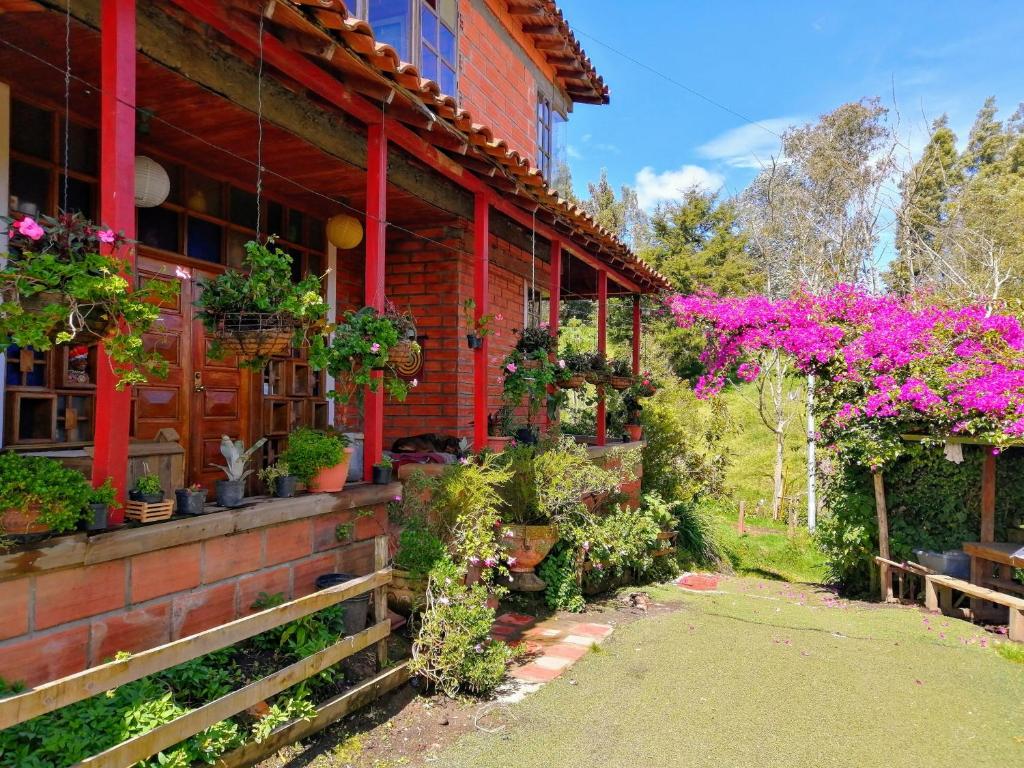 Zahrada ubytování Finca Hotel Nutabes