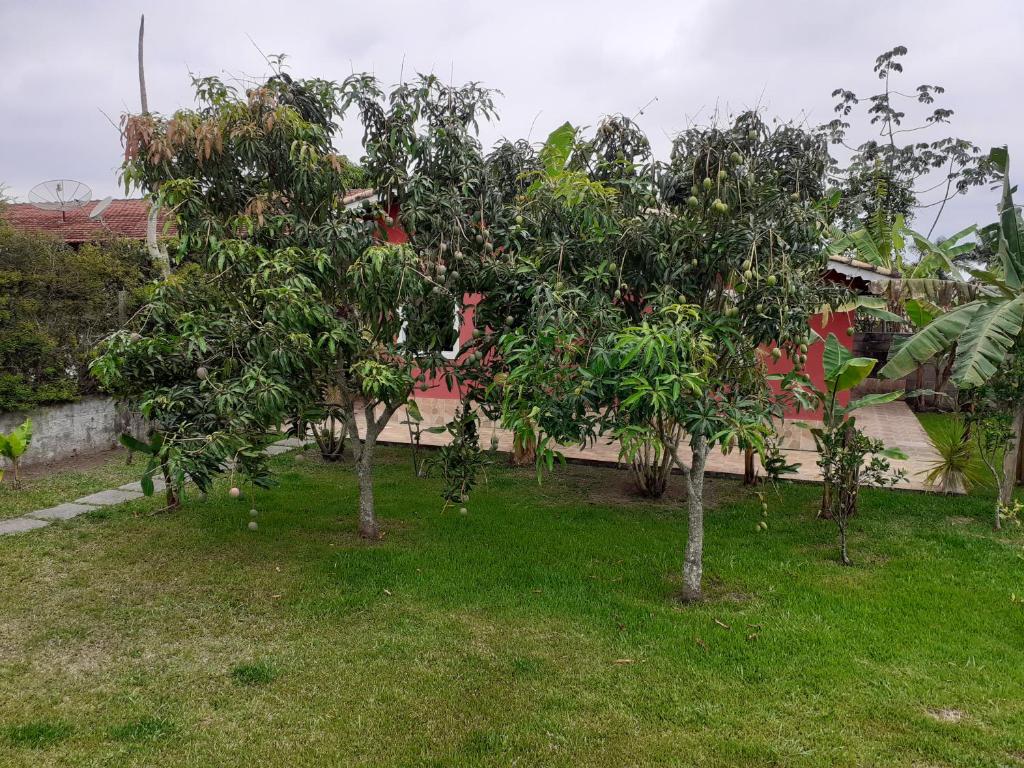  Chale em Penedo