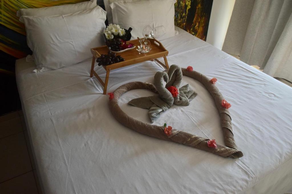  Pipa Arara House