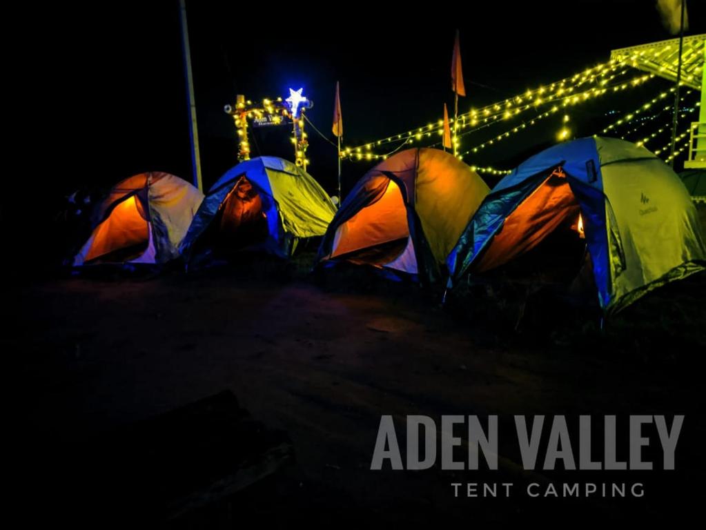 a group of tents in a field at night at Aden Valley Tent Stay , kanthalloor in Kanthalloor