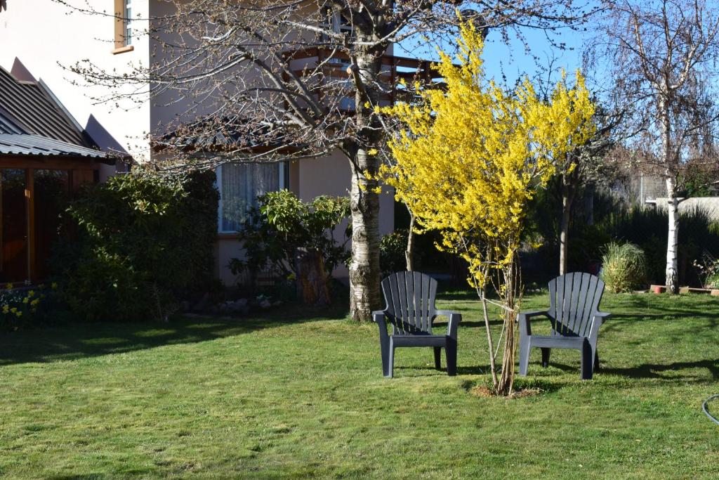 dos sillas sentadas en el césped junto a un árbol en Montalto II en Dina Huapi