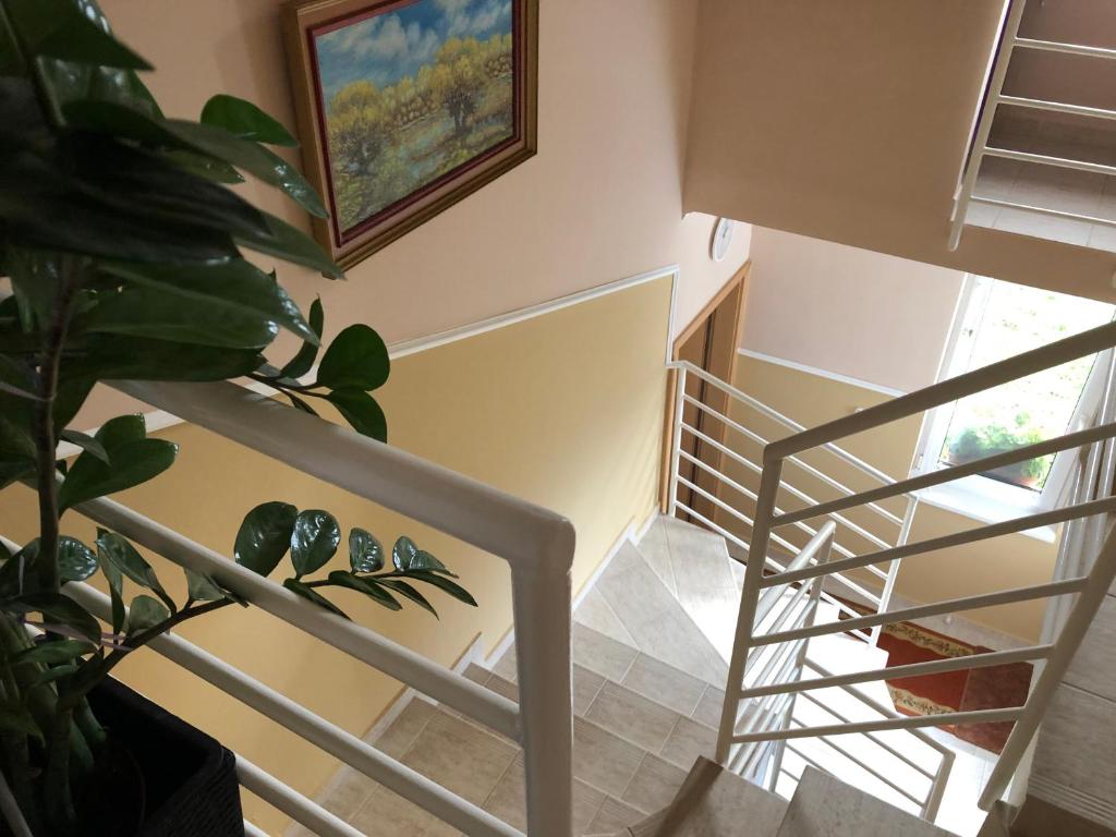 Zdjęcie z galerii obiektu József Apartments House w Zalakaros
