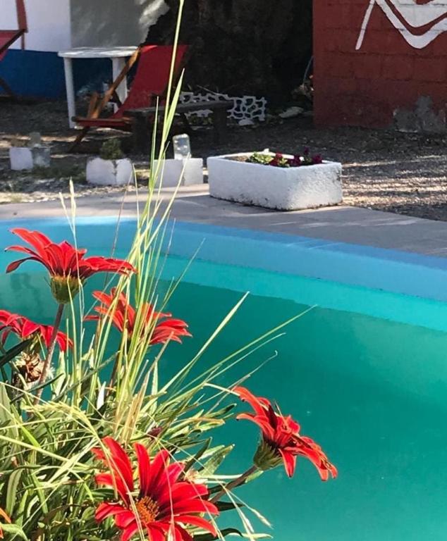 Foto de la galería de Shanti Hostel en San Rafael