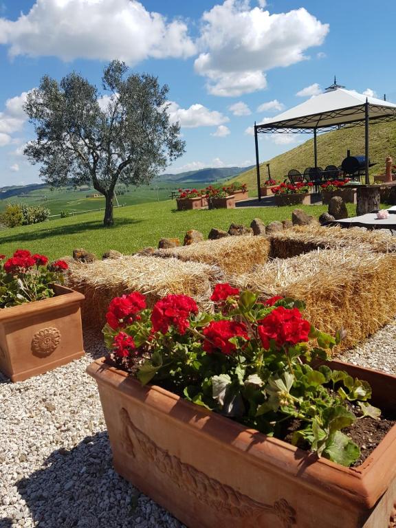 Agriturismo Poggio Tobruk - 10