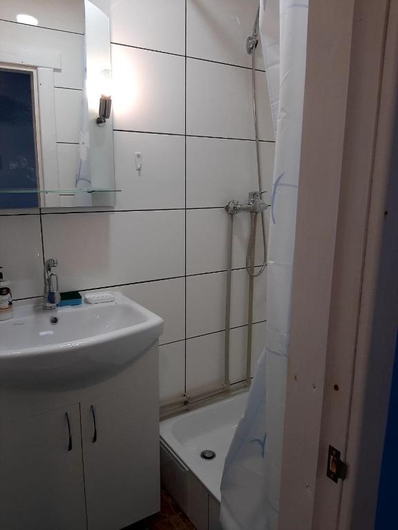 Vannituba majutusasutuses Pidkova
