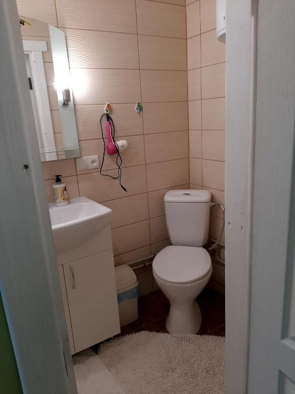 Vannituba majutusasutuses Pidkova