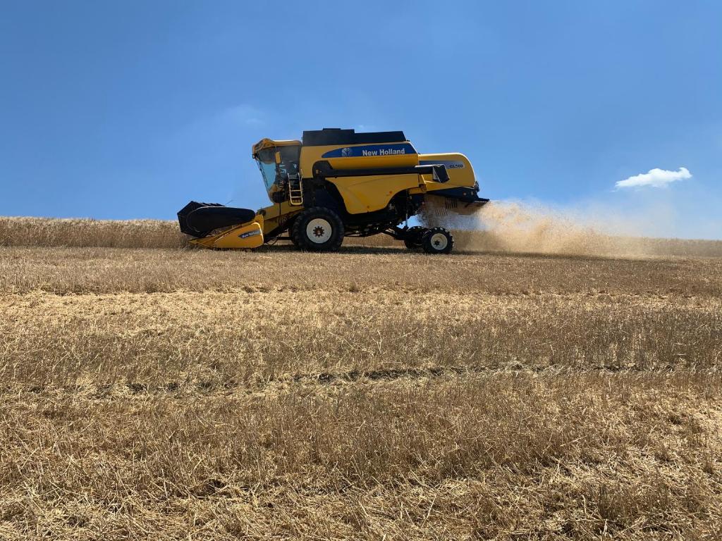 Agriturismo Poggio Tobruk - 18