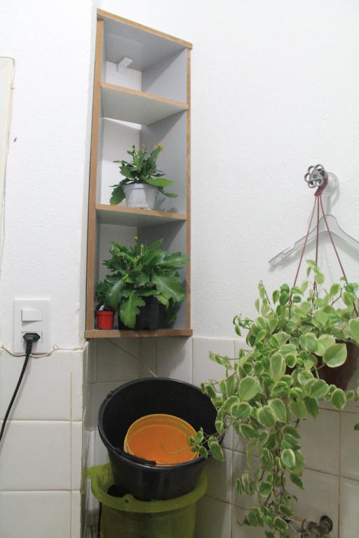  Apartamento jovial no bairro São Lucas- Belo Horizonte