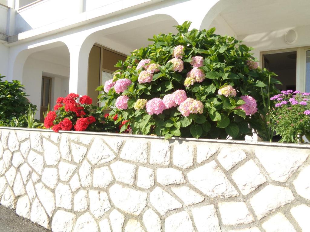 Zahrada ubytování Apartments Marina