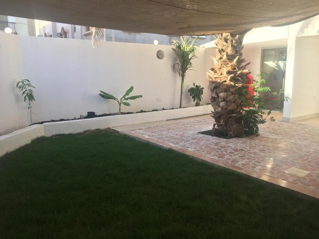 una habitación con césped verde y una pared blanca en Masaken alkenan, en Yanbu