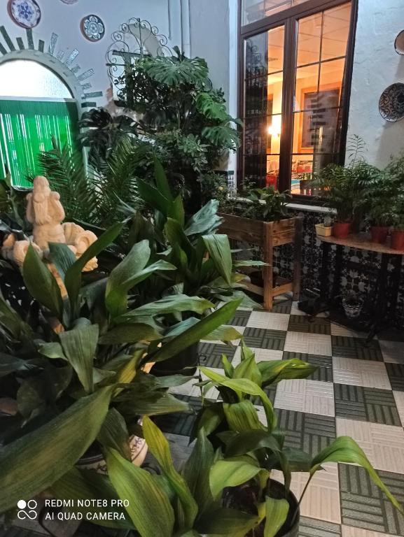 Ogród w obiekcie Hosteria de Rafi