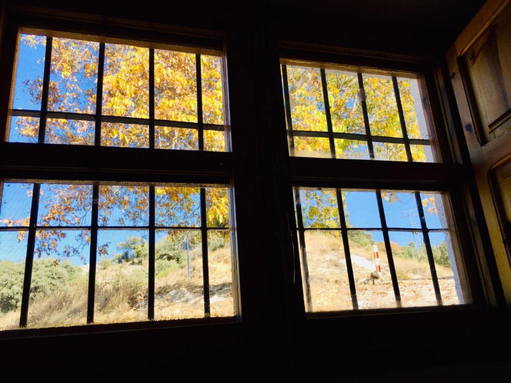 3 ventanas en una habitación con vistas a los árboles en CORTIJO VIANA LA SAGRA, en Puebla de Don Fadrique