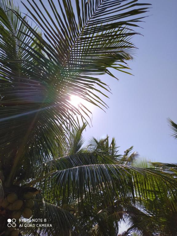  Pousada Dolce Mare