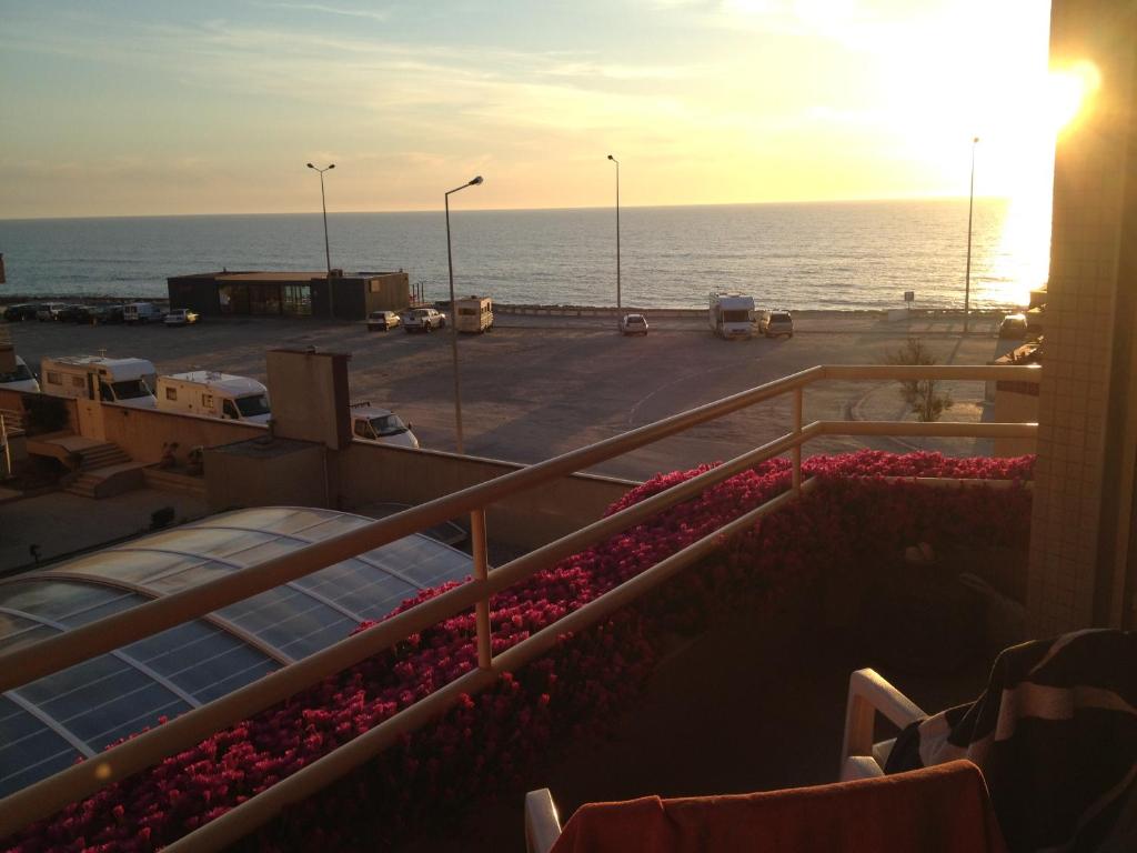 a view of the ocean from a balcony with flowers at Facing the Sea in Furadouro