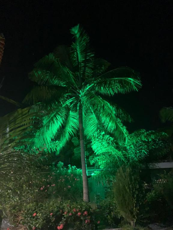  Casa Praia dos Carneiros