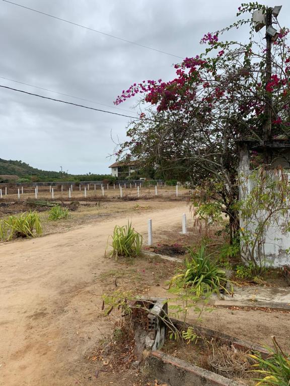  Casa Praia dos Carneiros