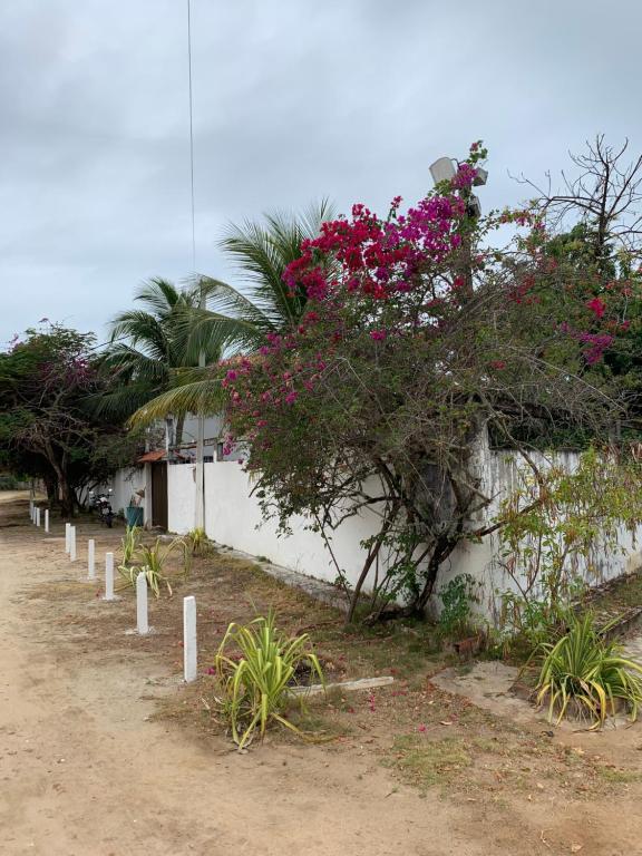  Casa Praia dos Carneiros