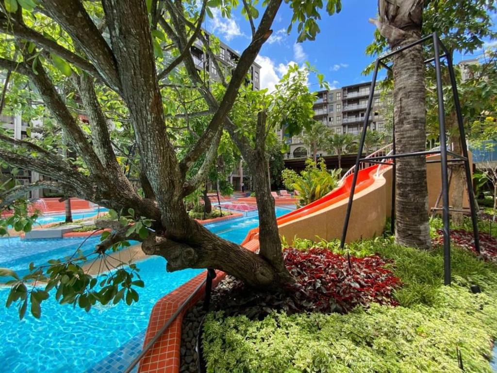 Lahabana Huahin - Resim 24