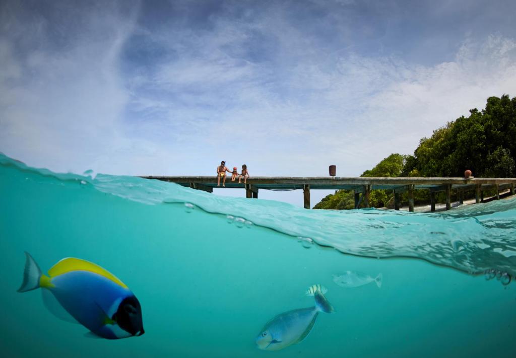 Soneva Fushi - View 43