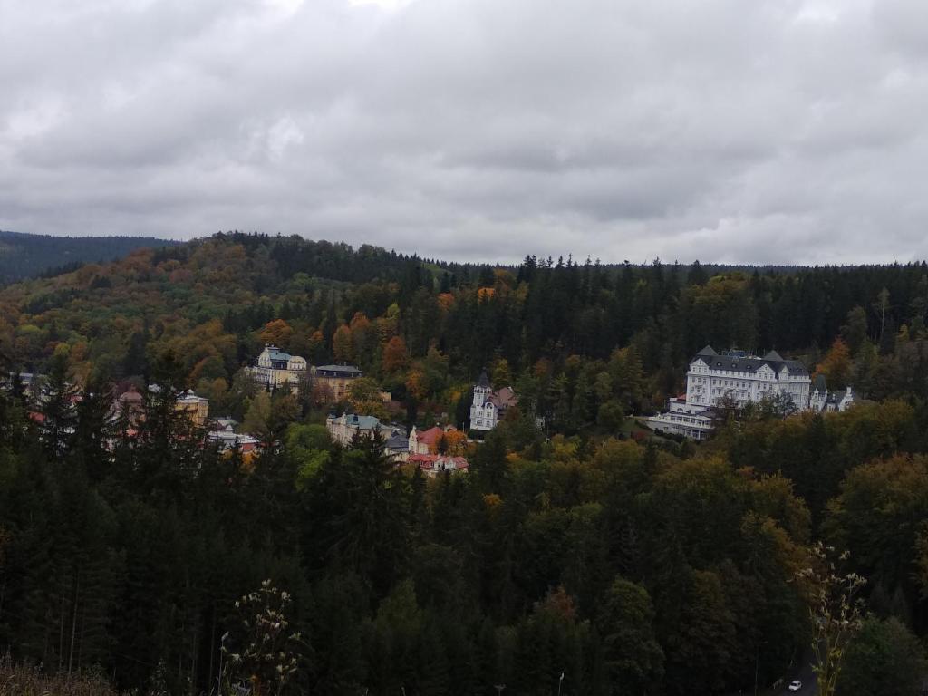 Fotografie z fotogalerie ubytování Apartmán Friedrichsruh v destinaci Mariánské Lázně