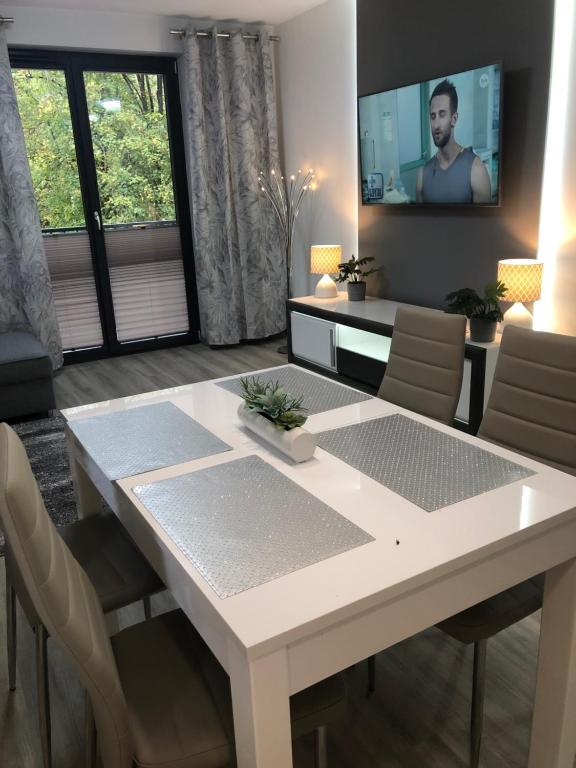 TV a/nebo společenská místnost v ubytování Apartament Agnes Szczecin Pomorzany