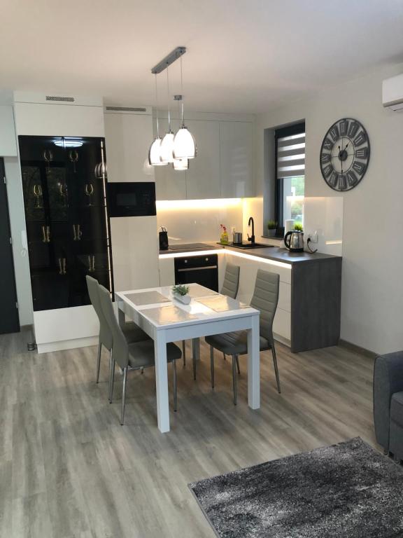 Kuchyň nebo kuchyňský kout v ubytování Apartament Agnes Szczecin Pomorzany
