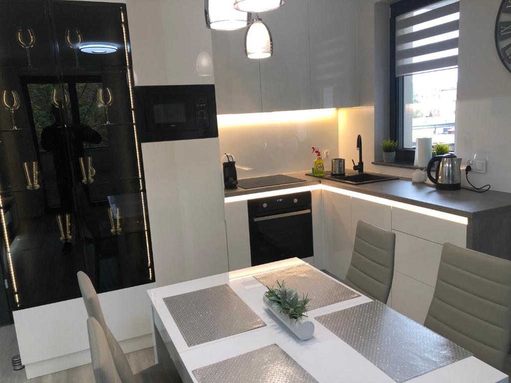 Kuchyň nebo kuchyňský kout v ubytování Apartament Agnes Szczecin Pomorzany