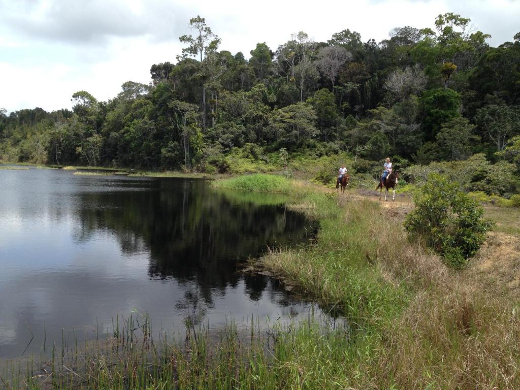  Itacaré EcoRanch