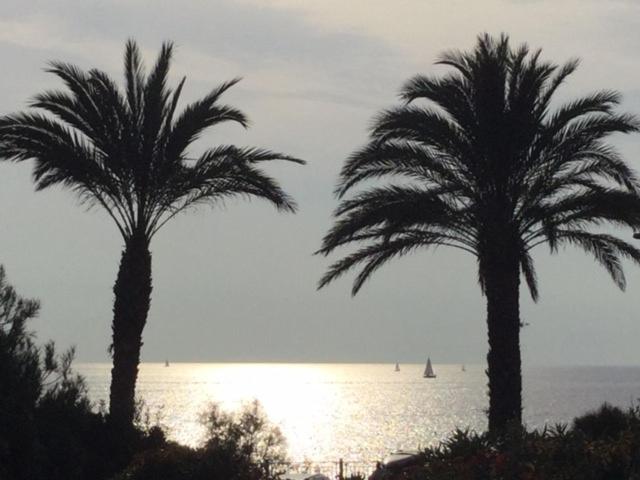 two palm trees in front of the ocean with a sail boat at Sanarybeach in Sanary-sur-Mer