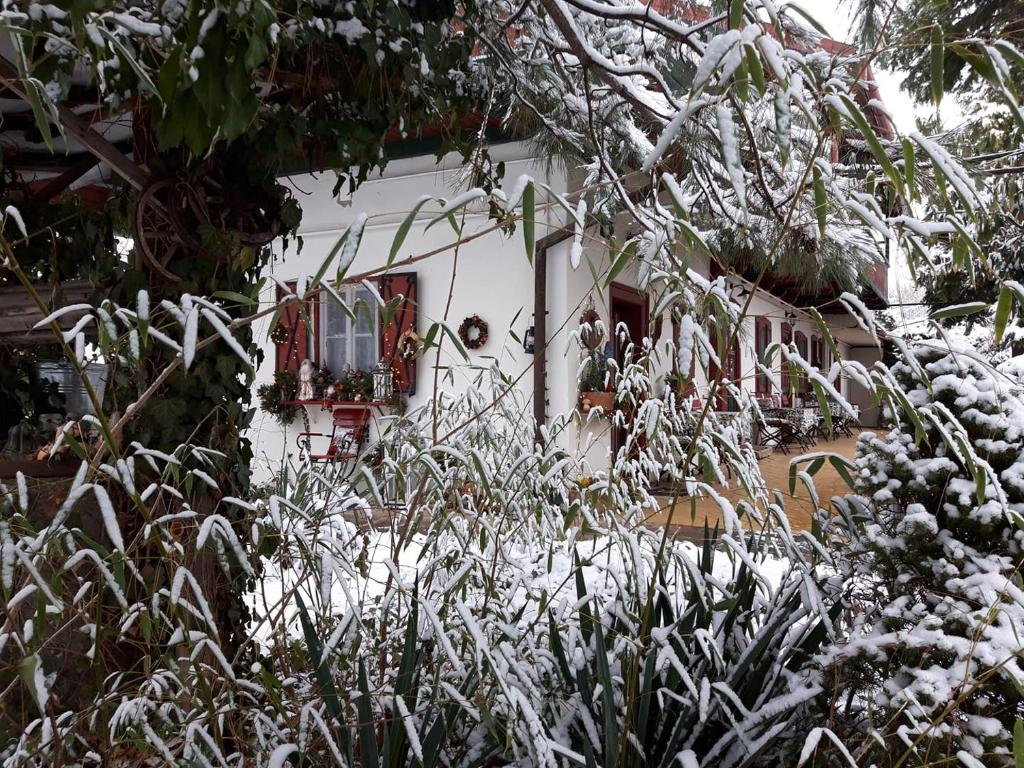Garten Vendégház v zimě